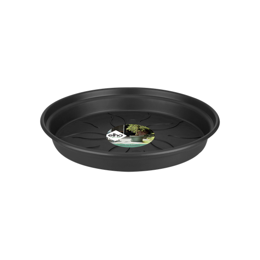 Green Basics Saucer 65