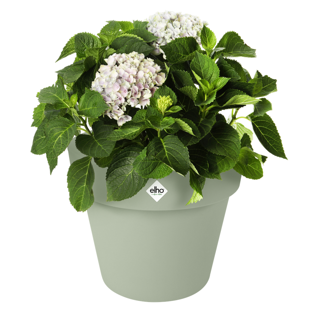 Green Basics Top Planter 23
