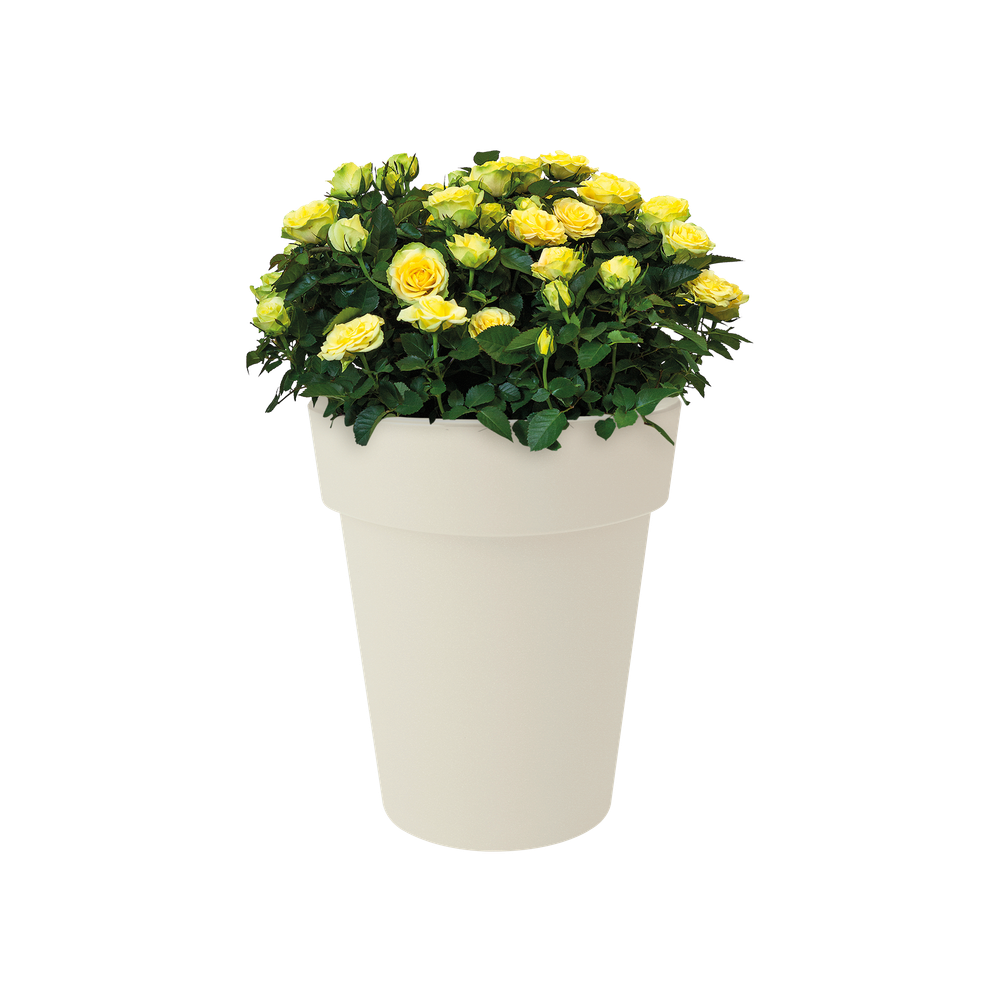 Green Basics Top Planter High 35