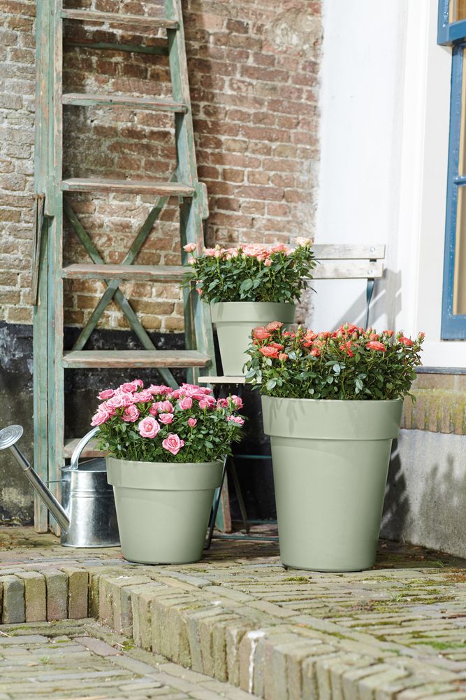 Green Basics Top Planter High 35