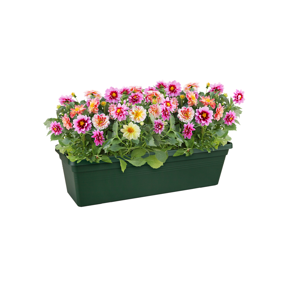 Green Basics Trough 60