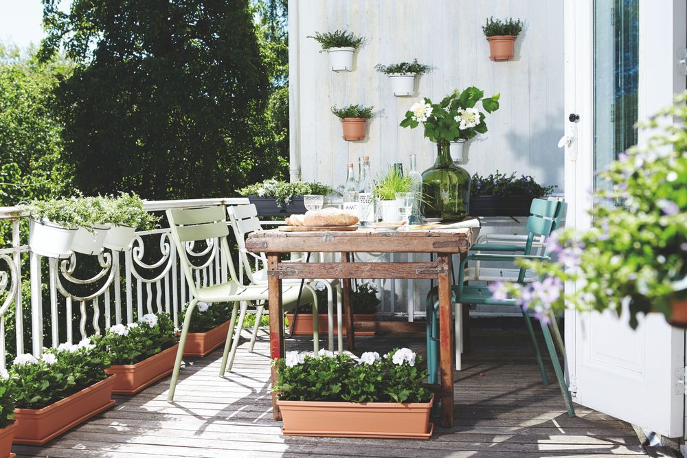 Green Basics Trough Saucer 50