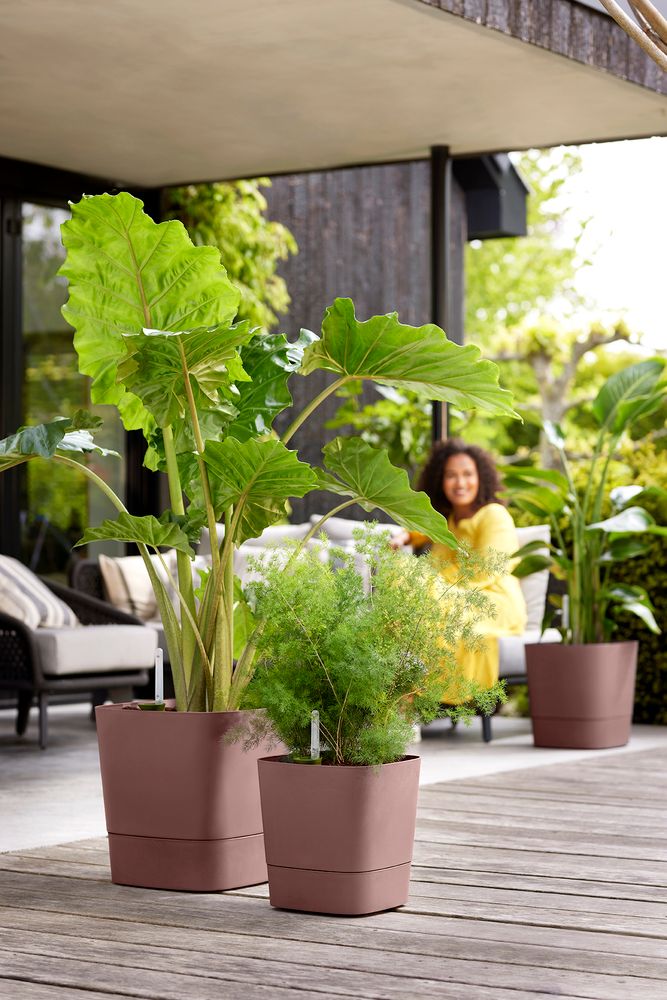 Greensense Aqua Care Square 30
