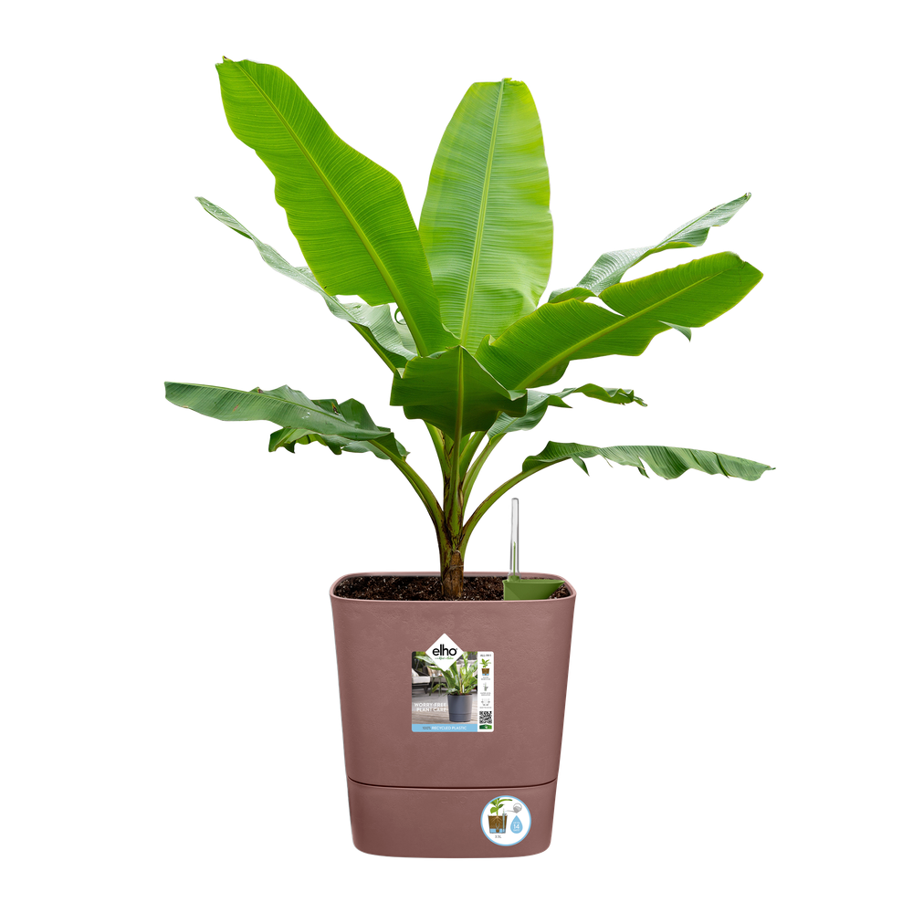 Greensense Aqua Care Square 30