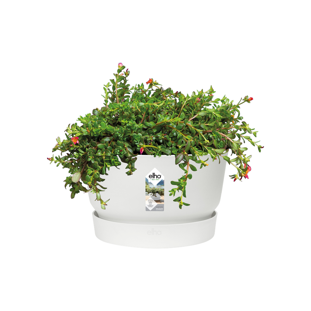 Greenville Bowl 33
