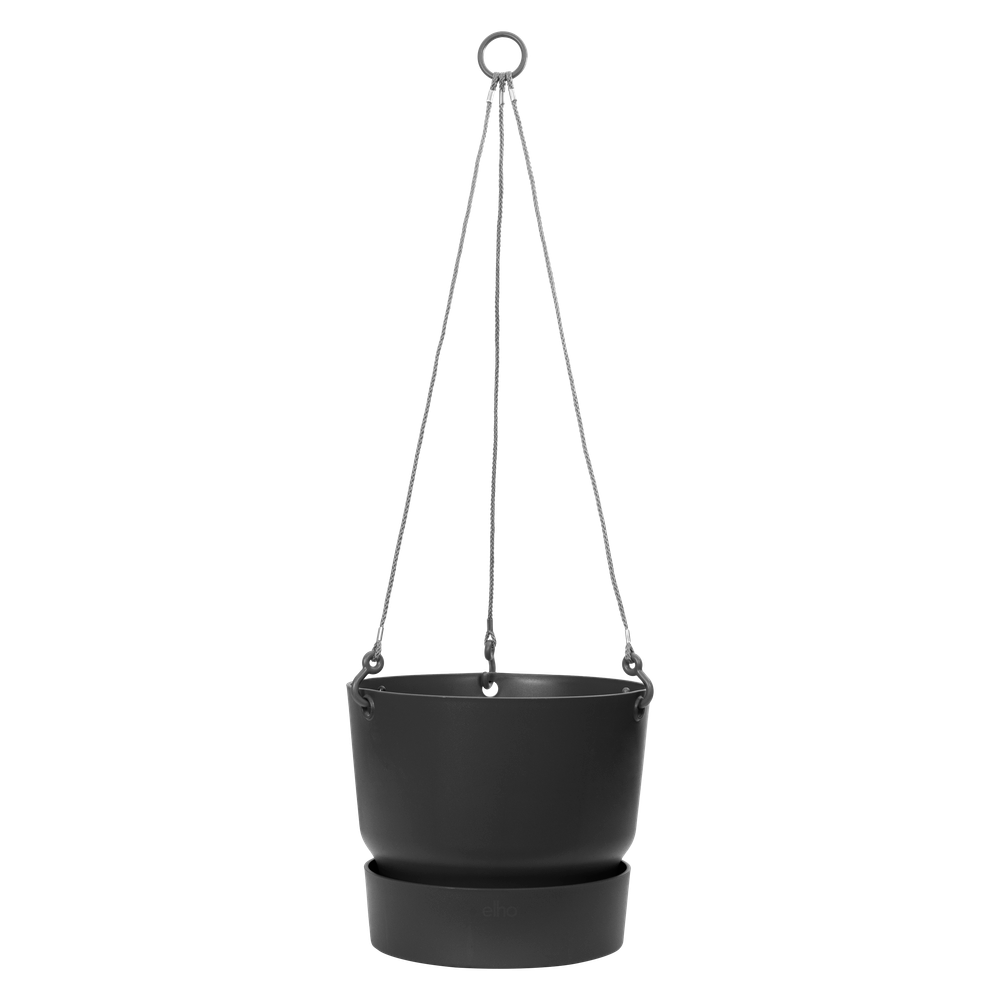 Greenville Hanging Basket 24