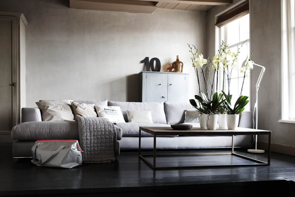 Brussels Diamond Orchid High 12,5