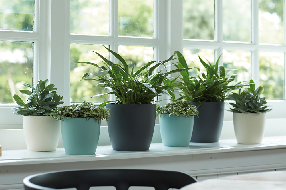 BNDL Brussels Round 25 X2