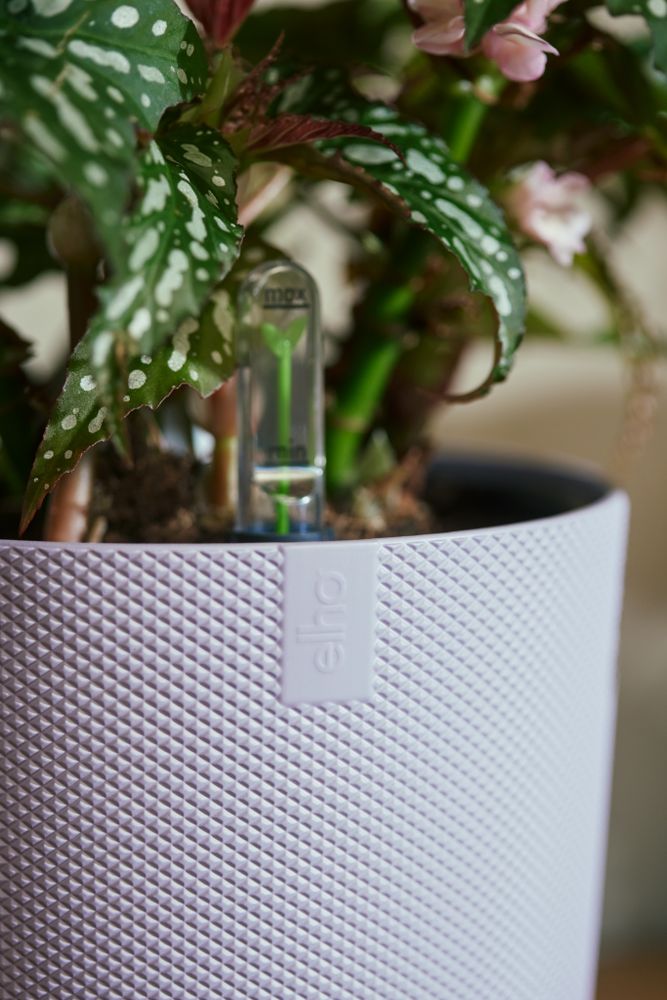 BNDL Jazz Round 14,16,19