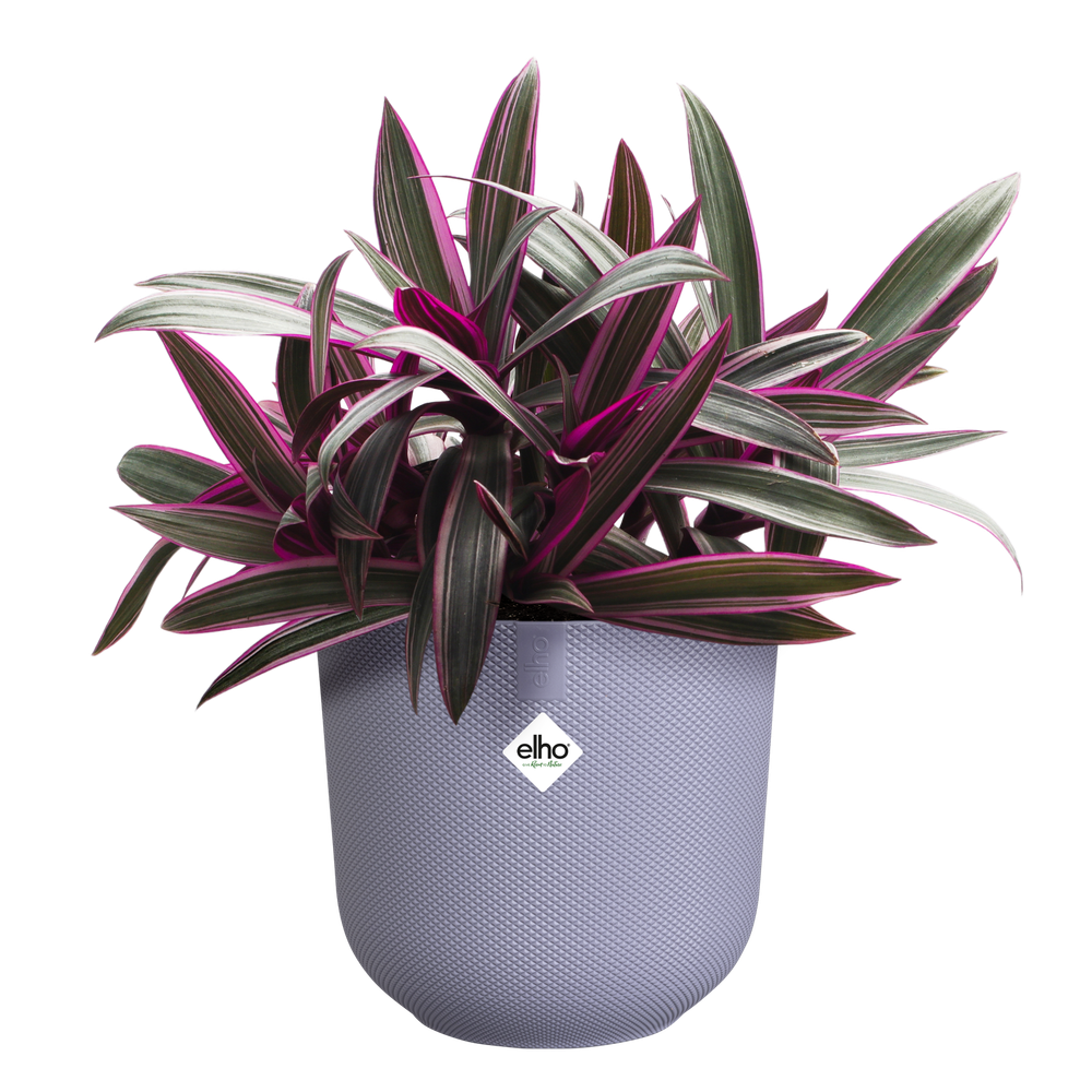 BNDL Jazz Round 14,16,19