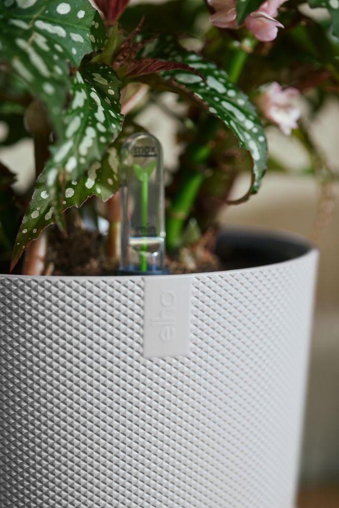 BNDL Jazz Round 14,16,19