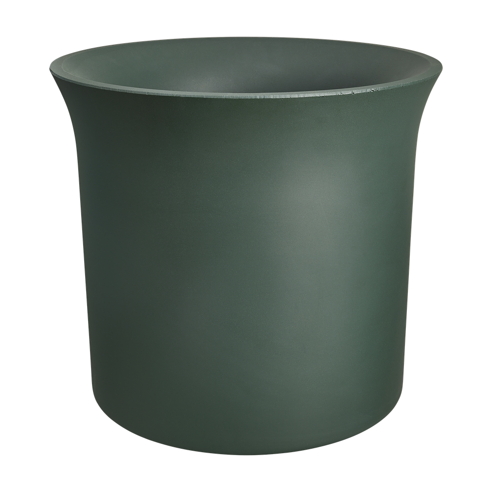 June Tulip 40