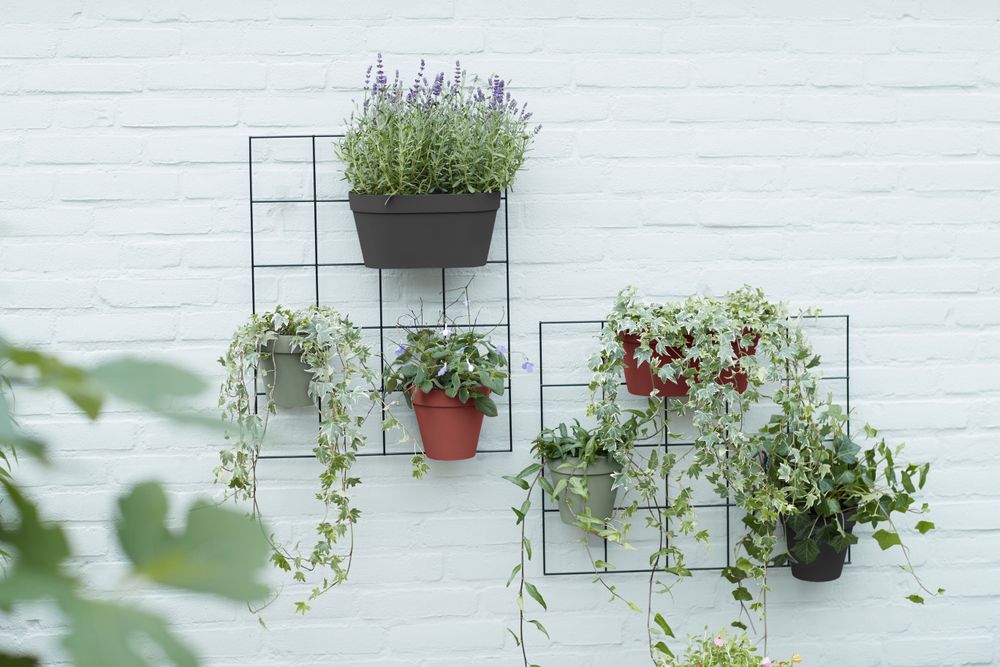 Loft Urban Green Wall Single 15