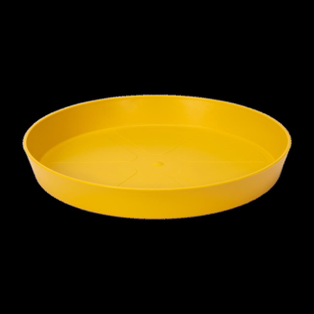 Loft Urban Saucer Round 14