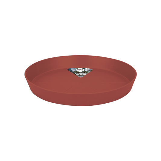 Loft Urban Saucer Round 24