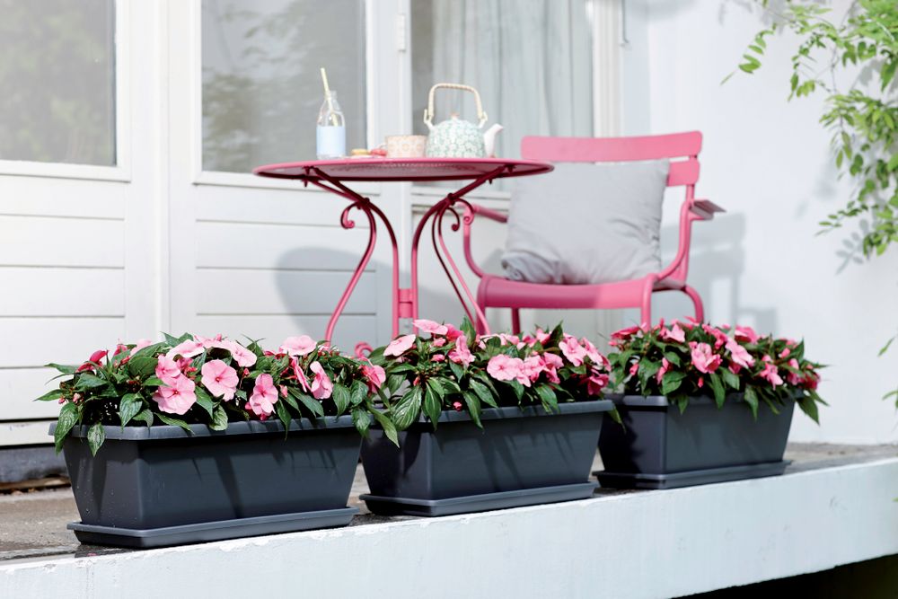 Barcelona Xl Saucer 80