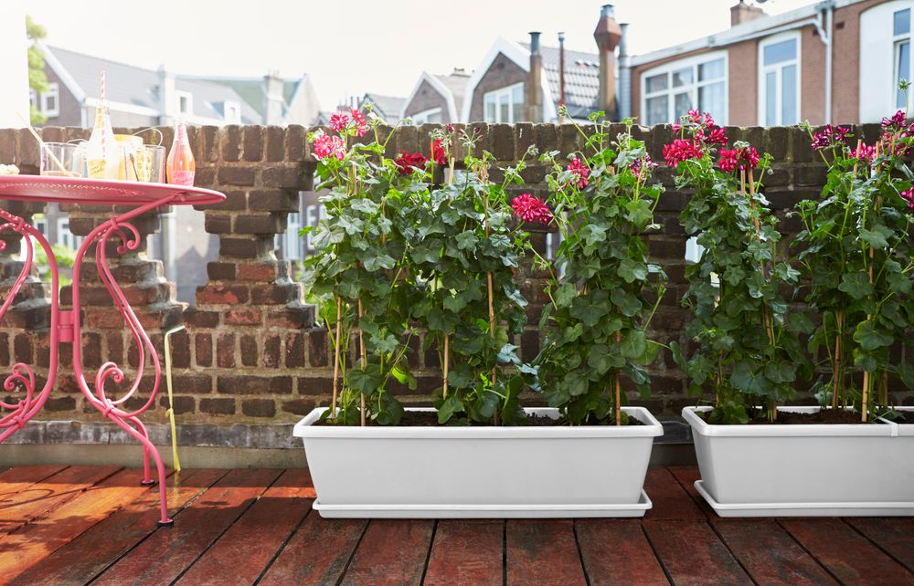 Barcelona Xl Saucer 80