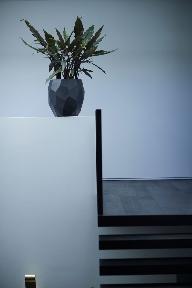 Pure Edge 47