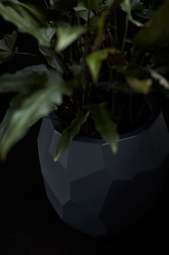 Pure Edge 47