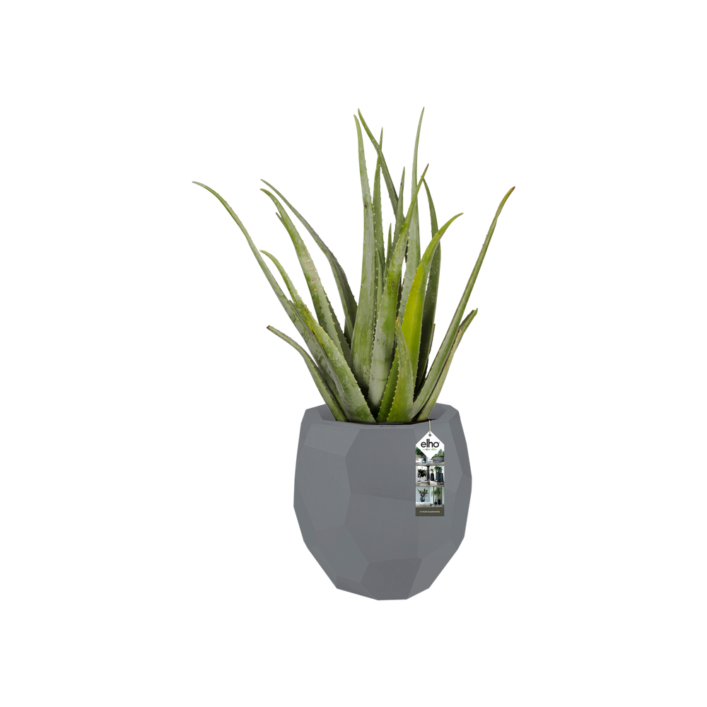 Pure Edge 40