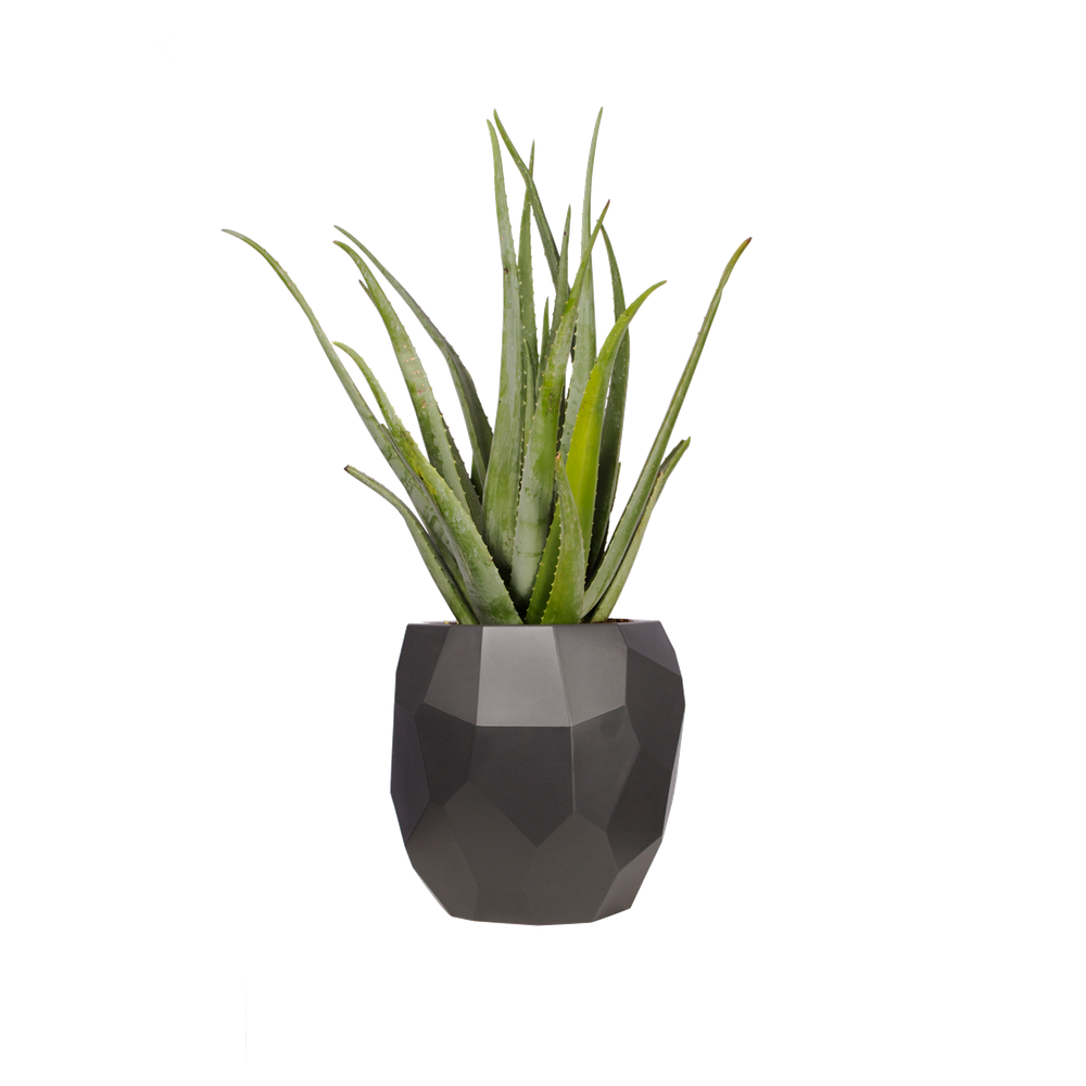 Pure Edge 40