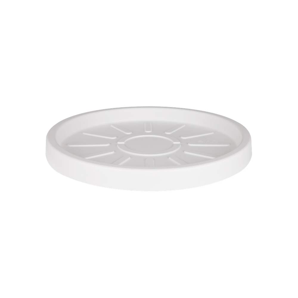 Pure Saucer 33