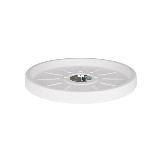 Pure Saucer 55