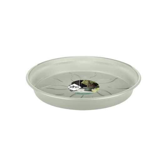 Green Basics Saucer 22