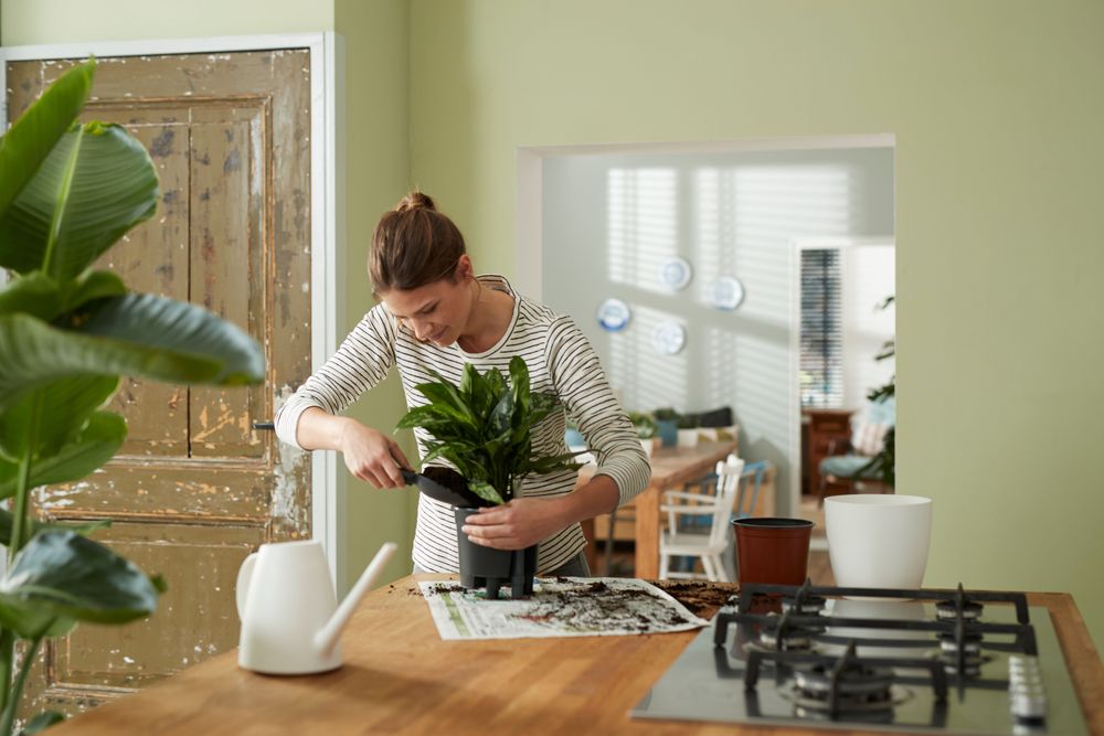 Self-watering Insert 15