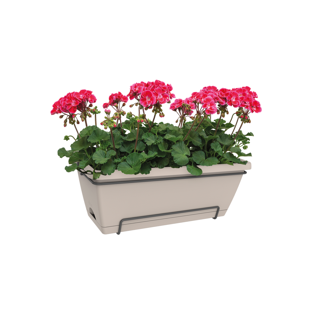 Barcelona Xl Allin1 55