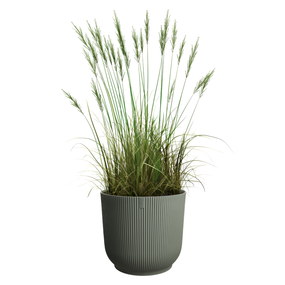 The Grass Collection Round 47