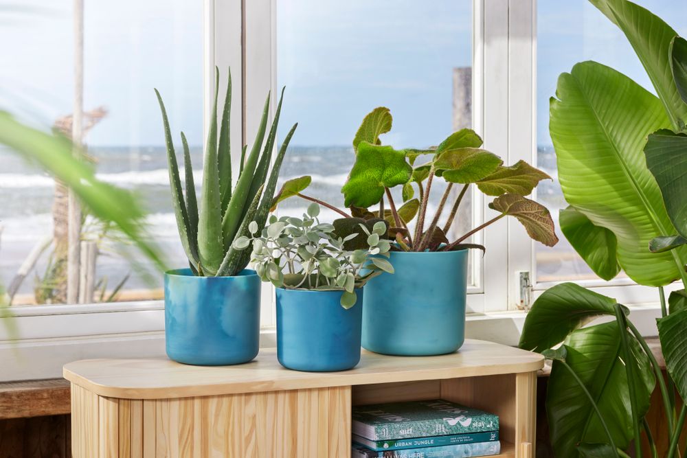 BNDL Ocean Round 22+swi21