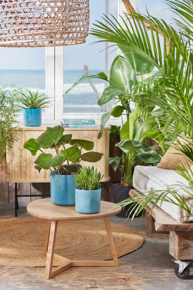 BNDL Ocean Round 22+swi21