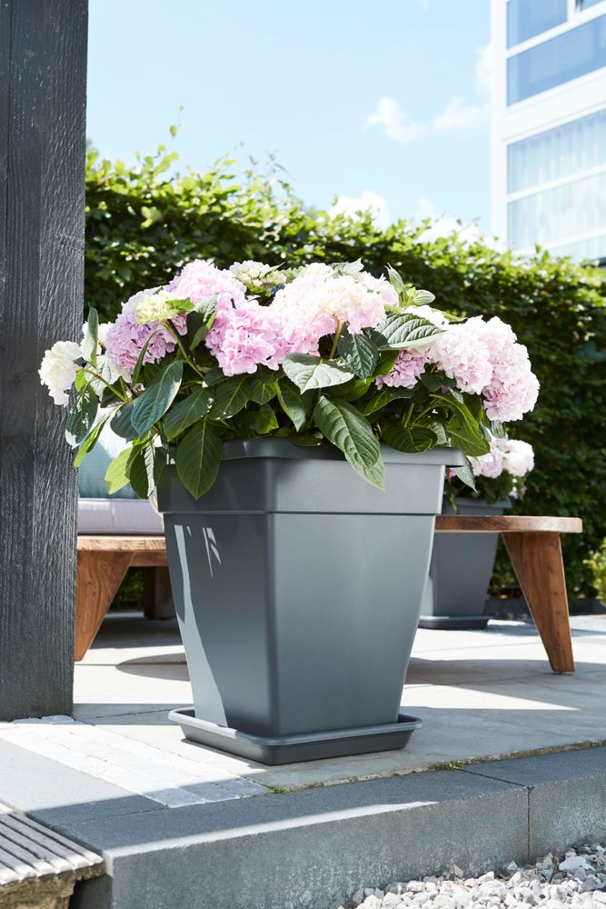 Universal Saucer Square 35