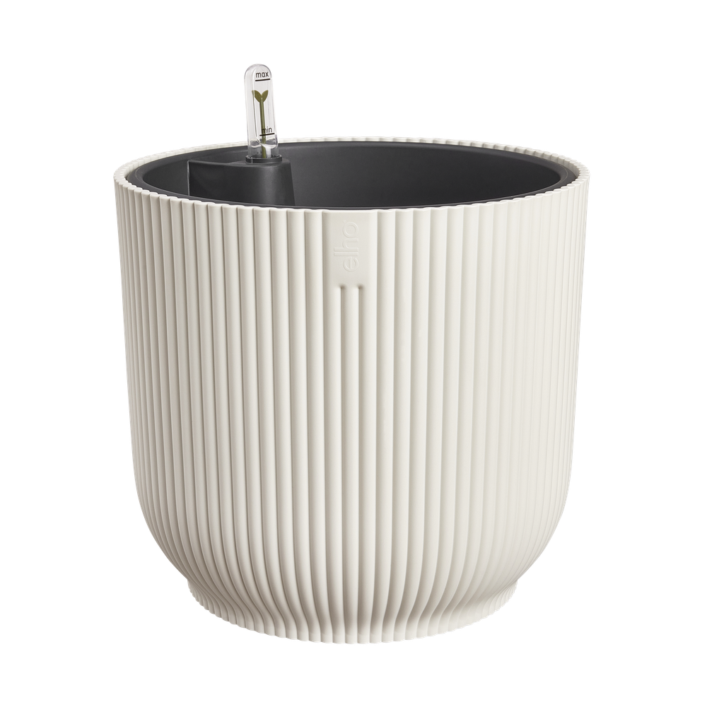 All-in-1 Vibes Round 18 + Swi 17