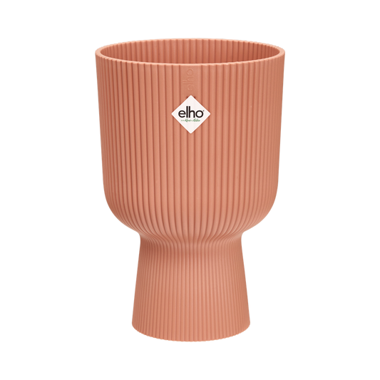Vibes Fold Coupe 14
