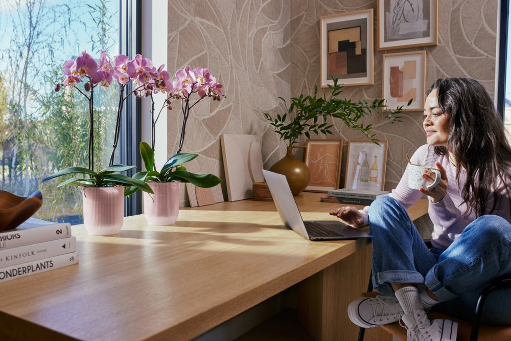 Vibes Fold Orchid High 12,5