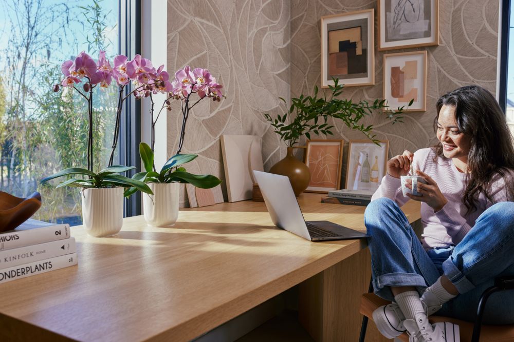 Vibes Fold Orchid High 12,5