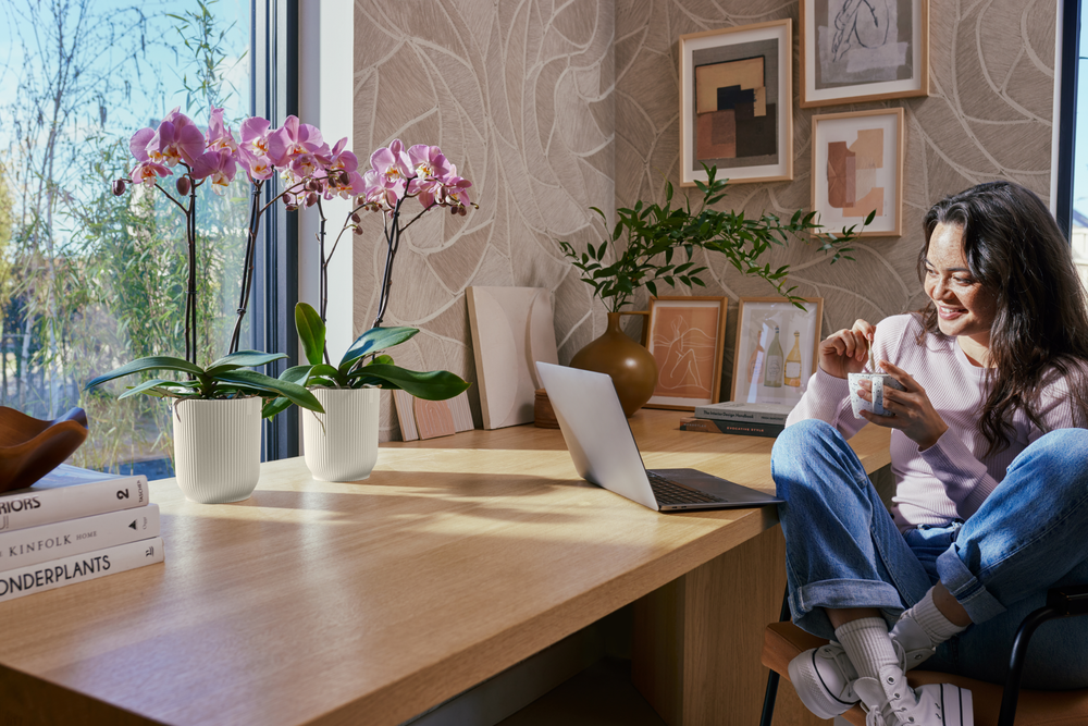 Vibes Fold Orchid High 12,5