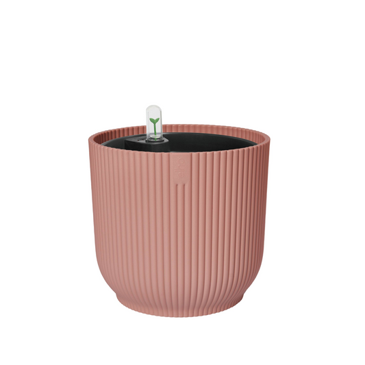 BNDL Vibes Fold Round 22+swi 21