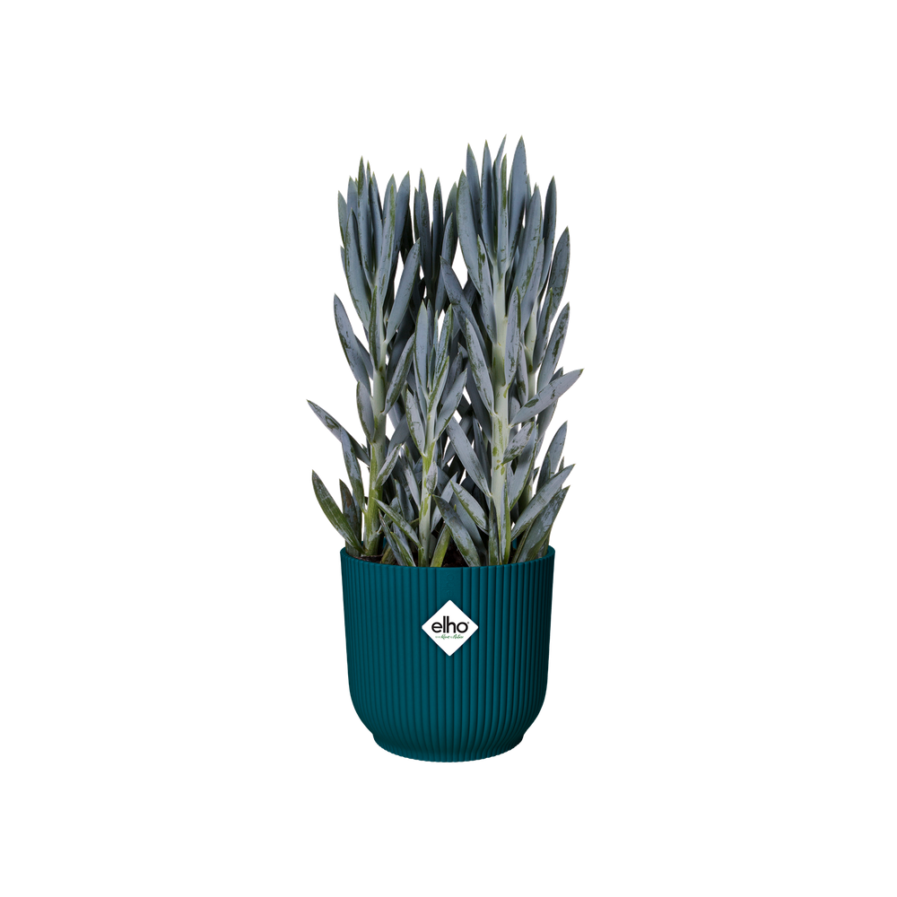 Vibes Fold Round Wheels 35