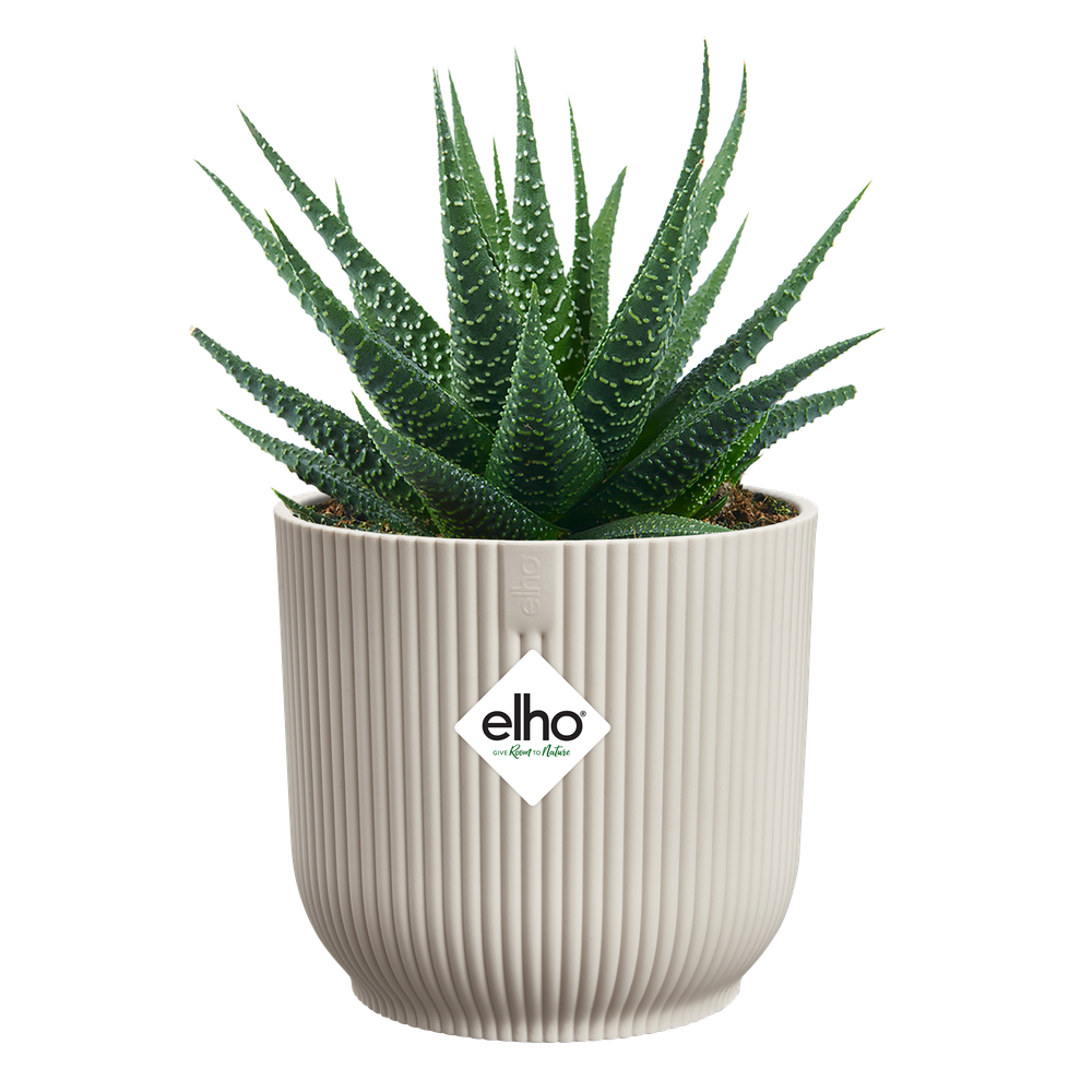 Vibes Fold Round Mini 7