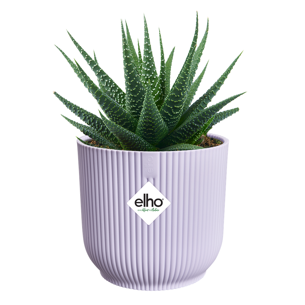 Vibes Fold Round Mini 11