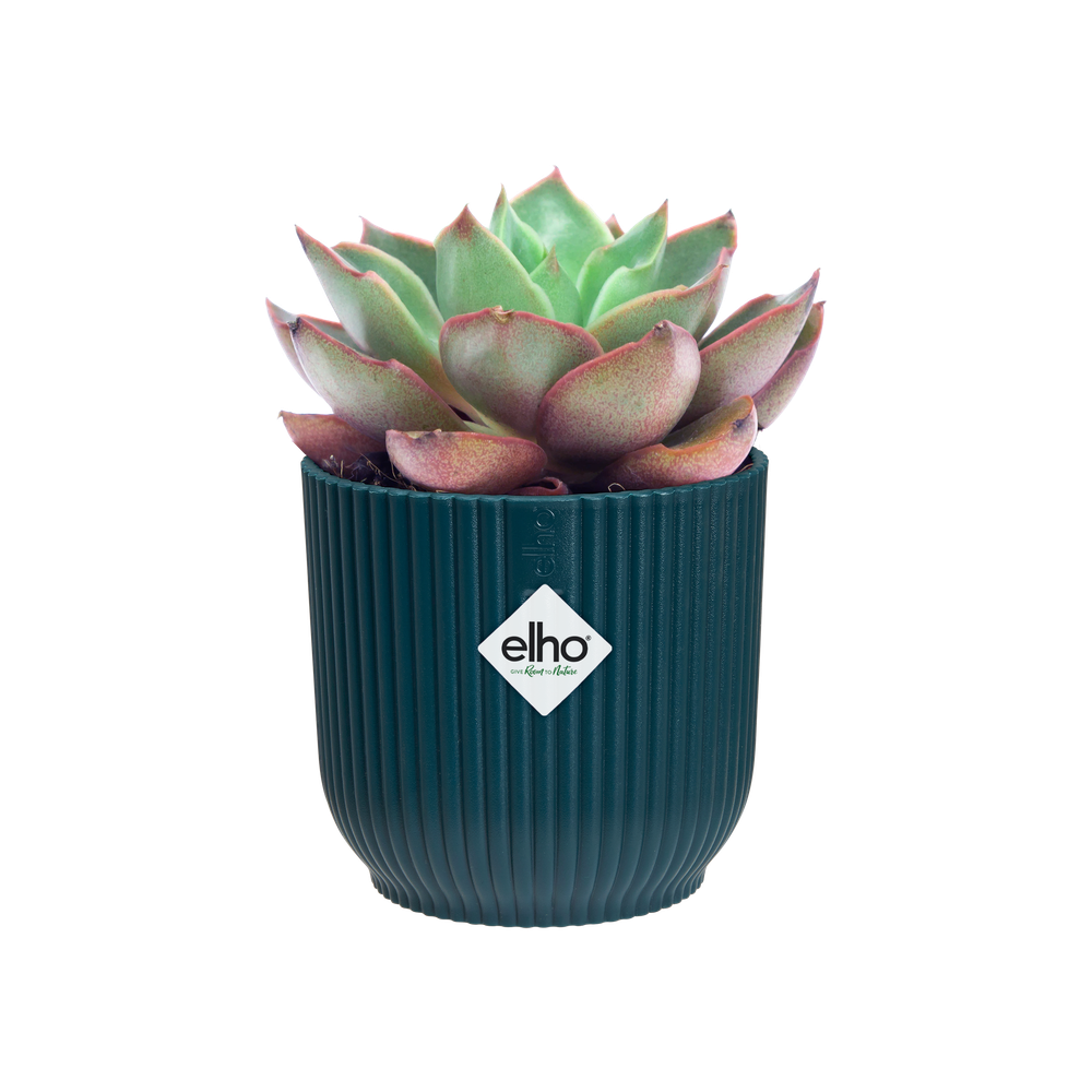 Vibes Fold Round Mini 9