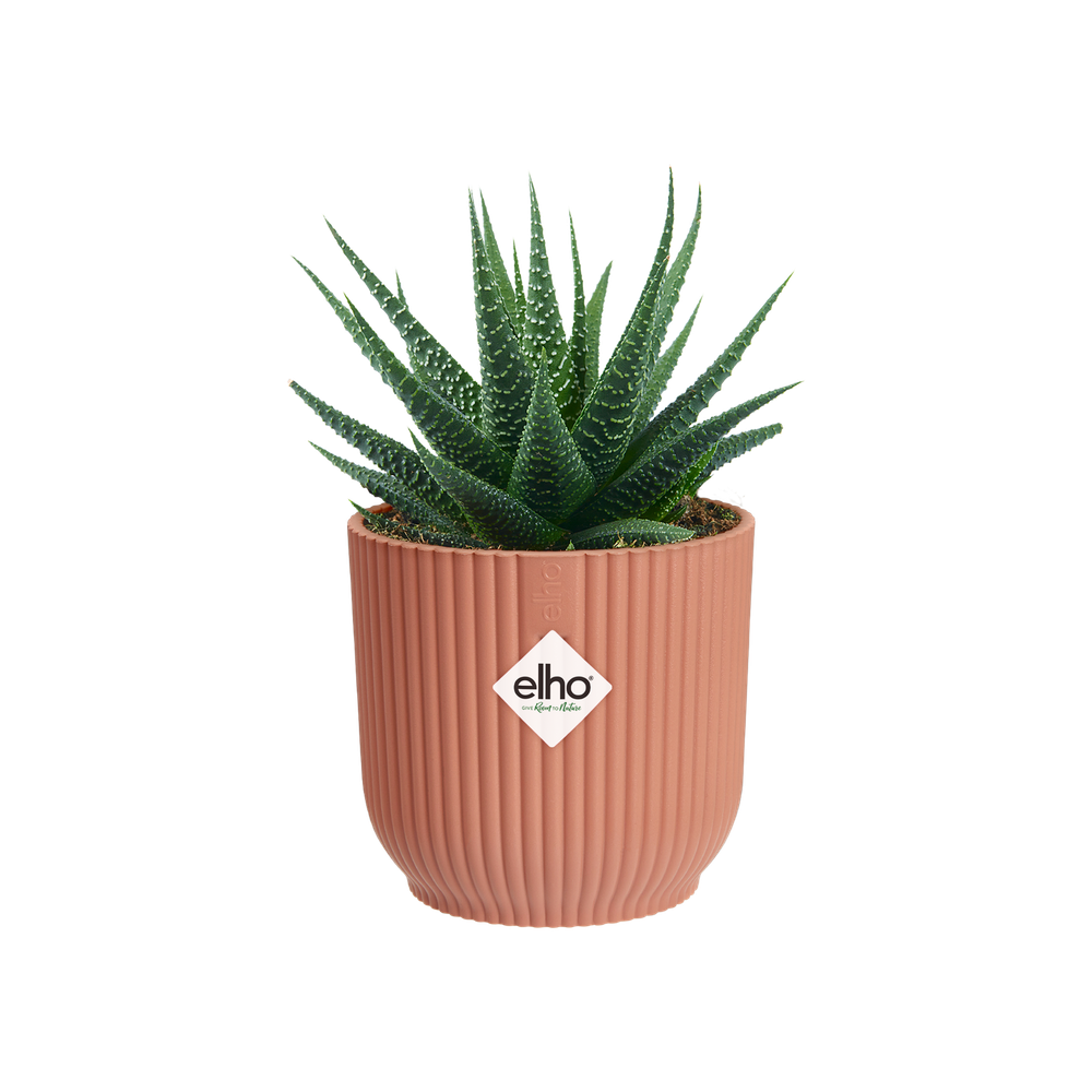 Vibes Fold Round Mini 7