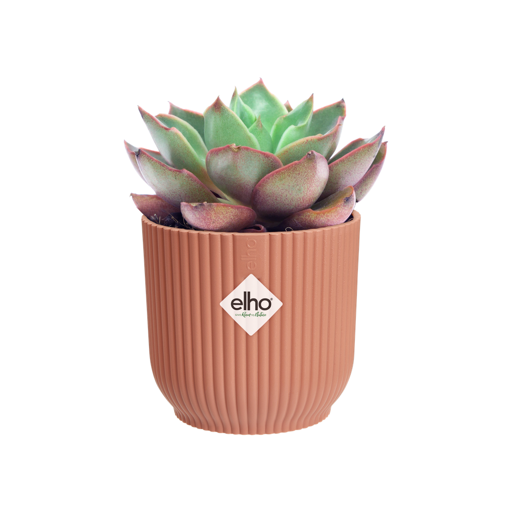 Vibes Fold Round Mini 7