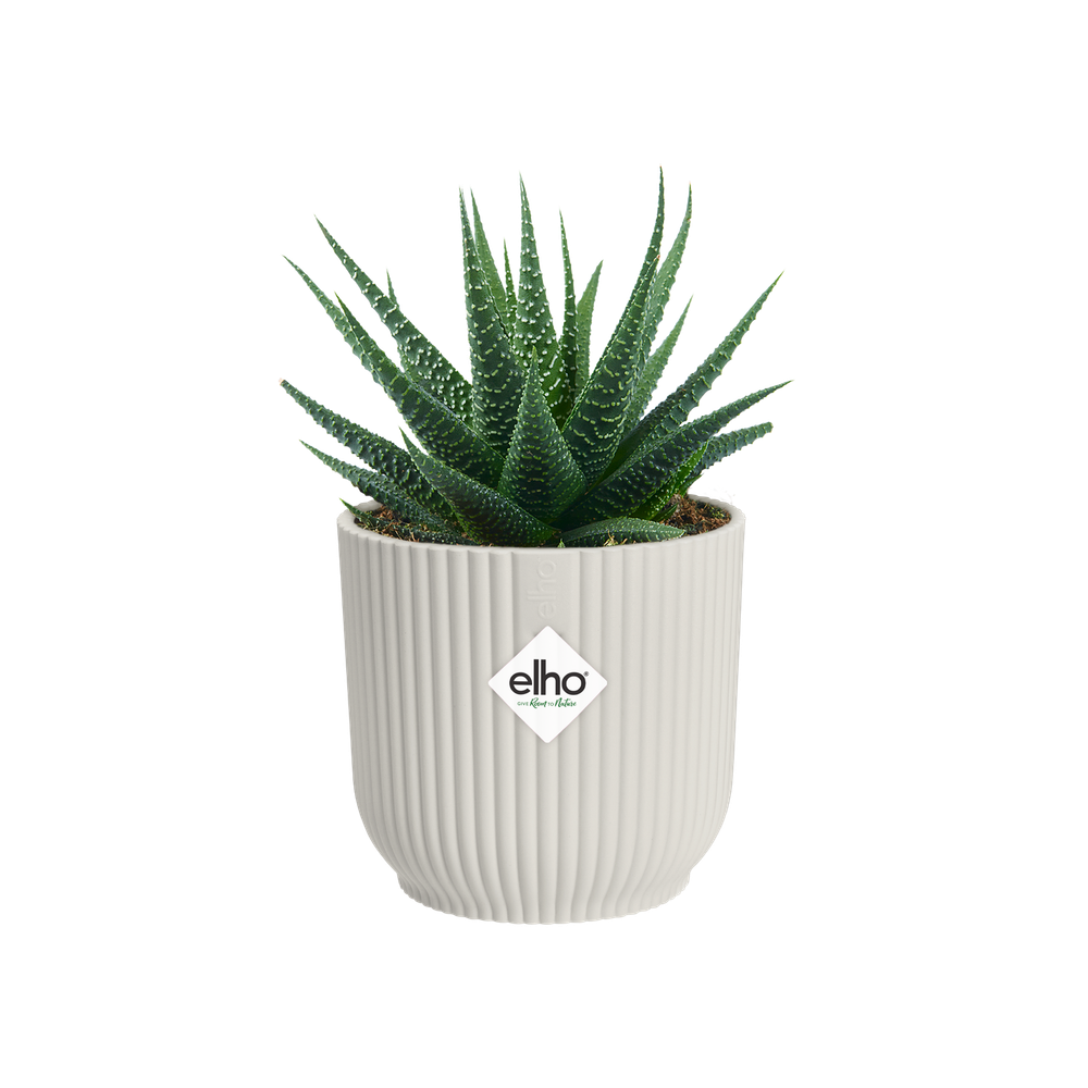 Vibes Fold Round Mini 7