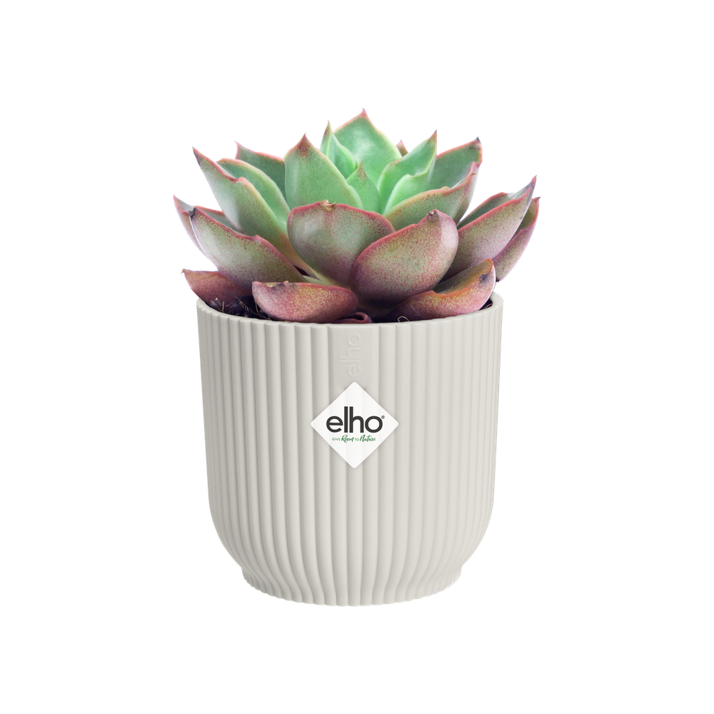 Vibes Fold Round Mini 9