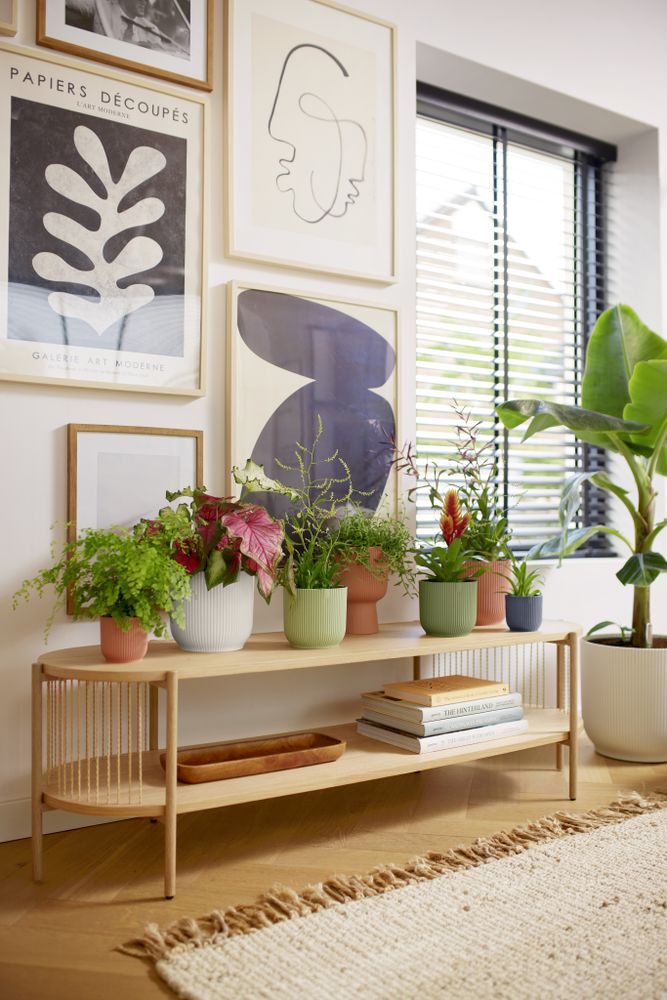 Vibes Fold Round Mini 9