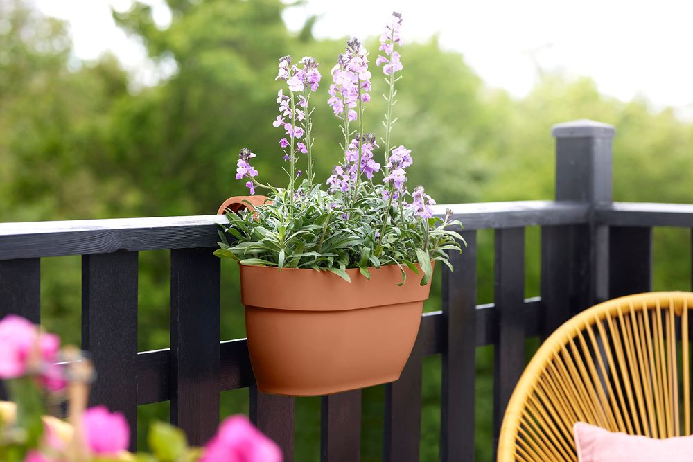 Vibia Campana Easy Hanger Medium